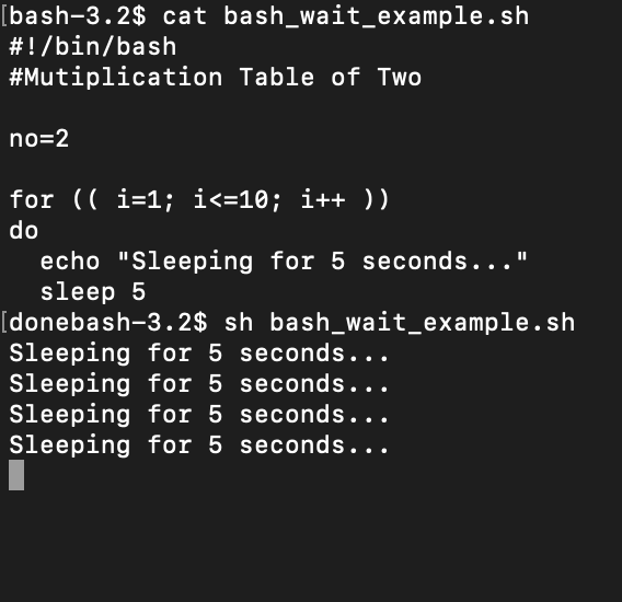 bash script wait for x minutes example